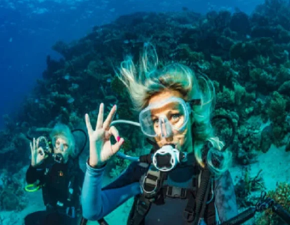 Private Limousine Transfer from Luxor to Marsa Alam