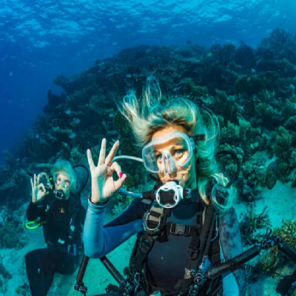 Private Limousine Transfer from Luxor to Marsa Alam