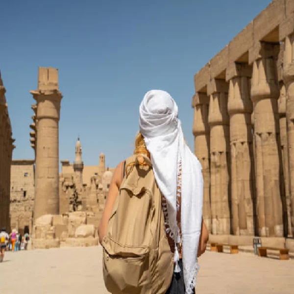 Private Limousine Transfer from Marsa Alam to Luxor