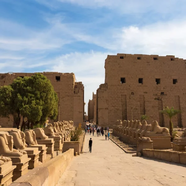 Private Limousine Transfer from Hurghada to Luxor – 1-Day Luxury Experience